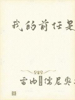 我的前任是极品