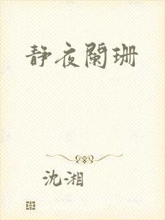 静夜阑珊