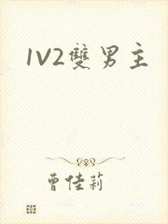 1V2双男主