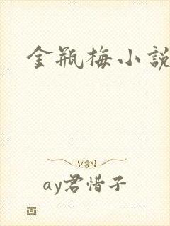 金瓶梅小说下载