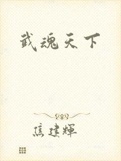 武魂天下