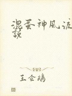 混蛋神风流史小说