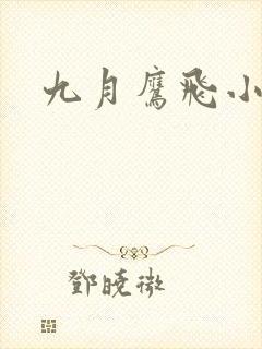 九月鹰飞小说