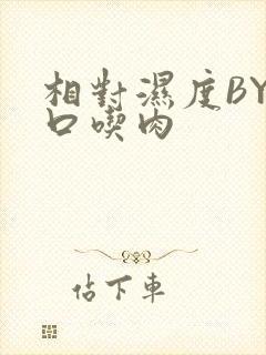 相对湿度BY大口吃肉