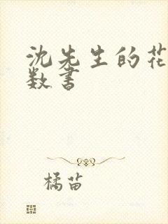 沈先生的花式调数书