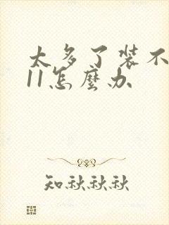 太多了装不下h11怎么办