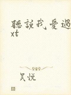 听说我爱过你txt