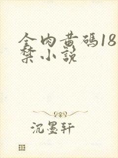 全肉黄码18无禁小说