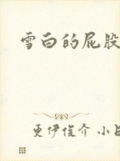 雪白的屁股小说
