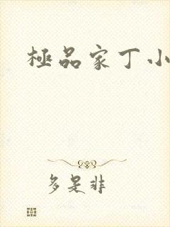 极品家丁小说