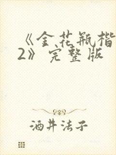 《金花瓶楷梅花2》完整版