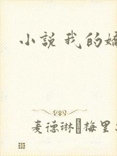 小说 我的娇妻