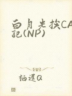 白月光挨CAO记(NP)