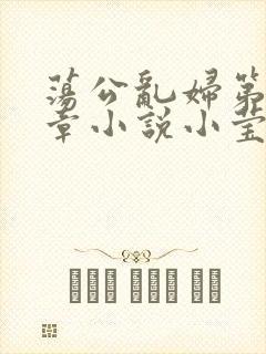 荡公乱妇第51章小说小莹