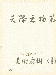 天降之物第一季