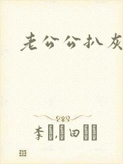 老公公扒灰小说