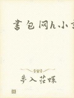 书包网h小说