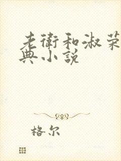 老卫和淑荣的经典小说