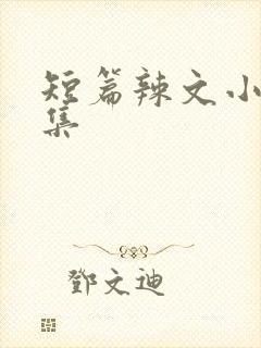 短篇辣文小说合集