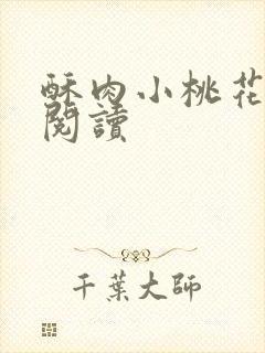 酥肉小桃花全文阅读