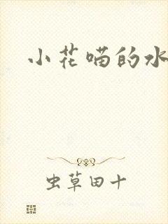 小花喵的水蜜桃