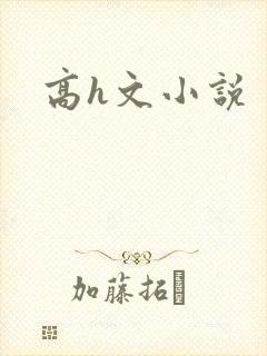 高h文小说