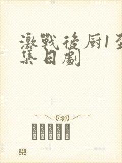 激战后厨1至5集日剧