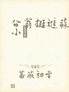 公翁挺进苏玥的小泬