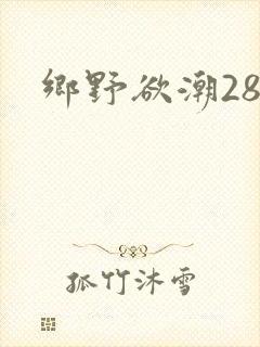 乡野欲潮28章