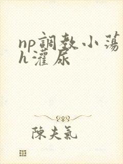 np调教小荡货h灌尿