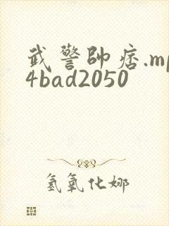 武警帅痞.mp4bad2050