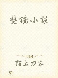 双镜小说