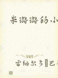 米璐璐的小说