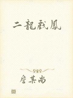 二龙戏凤