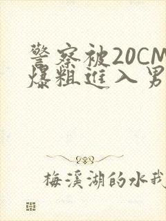 警察被20CM爆粗进入男男软件