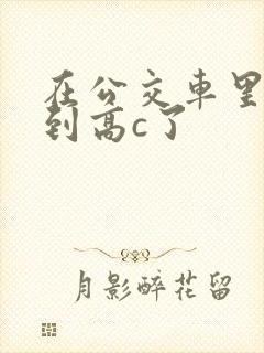 在公交车里c弄到高c了