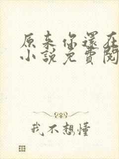 原来你还在这里小说免费阅读