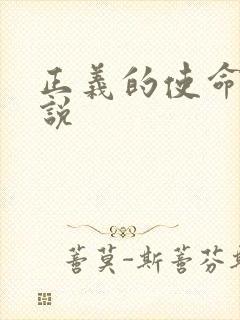 正义的使命 小说