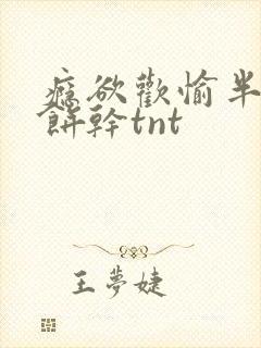 瘾欲欢愉半块小饼干tnt