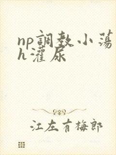 np调教小荡货h灌尿