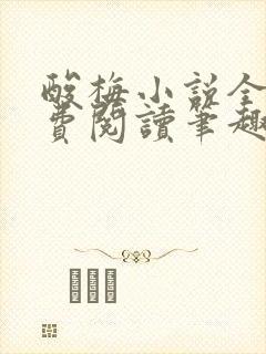 酸梅小说全文免费阅读笔趣阁