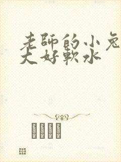 老师的小兔子好大好软水