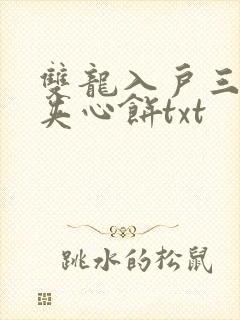 双龙入户三人行夹心饼txt