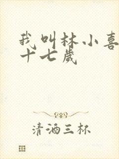 我叫林小喜今年十七岁