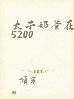 太子奶爸在花都5200