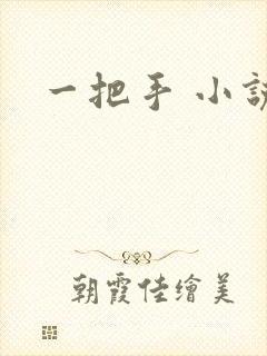 一把手 小说