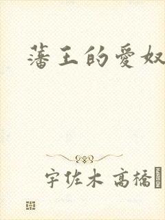 藩王的爱奴