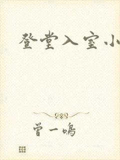 登堂入室小说