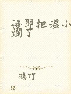 洛羿把温小辉做烂了