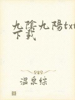 九阴九阳txt下载